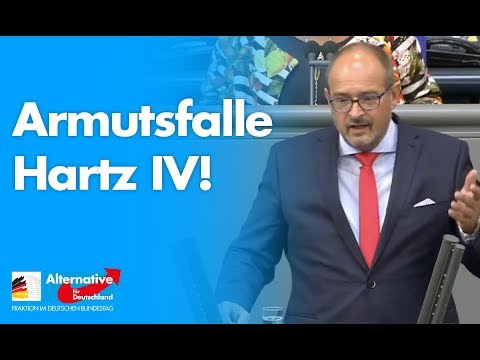 Armutsfalle Hartz IV! - Uwe Witt - AfD-Fraktion im Bundestag