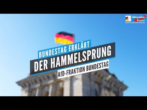 Bundestag erklärt: Was ist ein Hammelsprung? - AfD-Fraktion im Bundestag