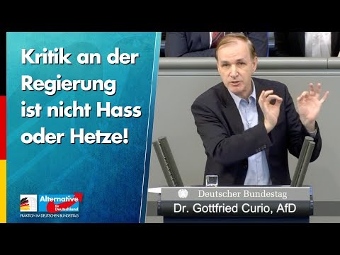 Kritik an der Regierung ist nicht Hass oder Hetze! - Gottfried Curio - AfD-Fraktion im Bundestag