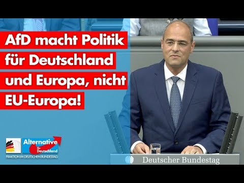 AfD macht Politik für Deutschland und Europa, nicht EU-Europa! - Peter Boehringer - AfD-Fraktion
