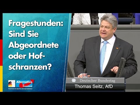 Sind Sie Abgeordnete oder Hofschranzen? - Thomas Seitz - AfD-Fraktion im Bundestag
