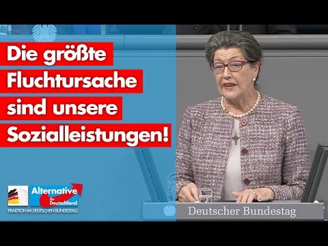 Die größte Fluchtursache sind unsere Sozialleistungen! - Franziska Gminder - AfD-Fraktion