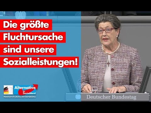 Die größte Fluchtursache sind unsere Sozialleistungen! - Franziska Gminder - AfD-Fraktion