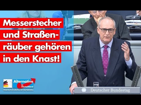 Messerstecher und Straßenräuber gehören in den Knast! - Roman Reusch - AfD-Fraktion im Bundestag
