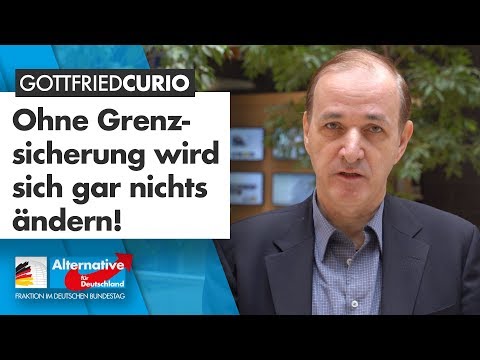 Ohne Grenzsicherung wird sich gar nichts ändern! - Gottfried Curio - AfD-Fraktion im Bundestag