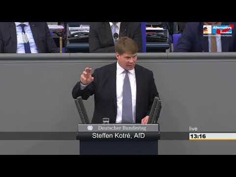 &quot;Die Energiewende ist ein Verlustgeschäft!&quot; - Steffen Kotré - AfD-Fraktion im Bundestag