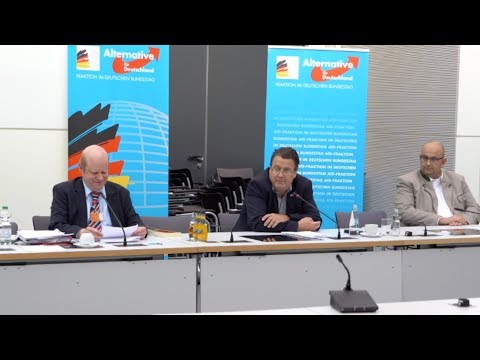 AfD-Klagen gegen die Bundesregierung - Aktueller Stand! - Brandner, Vosgerau &amp; Protschka