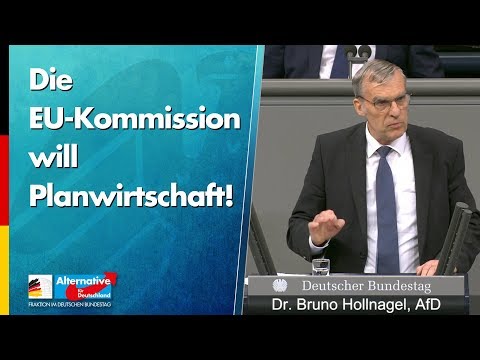 Dr. Bruno Hollnagel: Die EU-Kommission will Planwirtschaft! - AfD-Fraktion im Bundestag