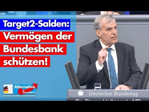 Vermögen der Bundesbank schützen! - Dr. Bruno Hollnagel - AfD-Fraktion im Bundestag