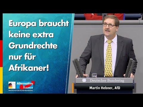 Europa braucht keine extra Grundrechte nur für Afrikaner! - Martin Hebner - AfD-Fraktion