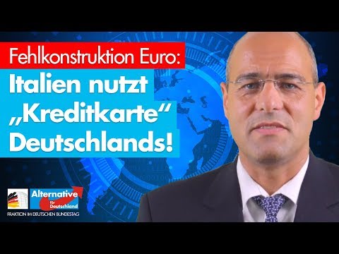 Fehlkonstruktion Euro: Italien nutzt &quot;Kreditkarte&quot; Deutschlands! - Peter Boehringer - AfD-Fraktion