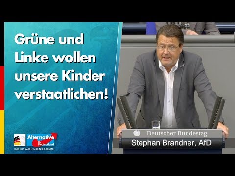 Grüne und Linke wollen unsere Kinder verstaatlichen! - Stephan Brandner - AfD-Fraktion im Bundestag