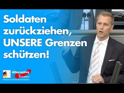 Soldaten zurückziehen, um UNSERE Grenzen zu schützen! - Petr Bystron - AfD-Fraktion im Bundestag