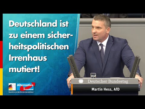 Deutschland ist zu einem sicherheitspolitischen Irrenhaus mutiert! - Martin Hess - AfD-Fraktion