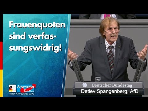 Frauenquoten sind verfassungswidrig! - Detlev Spangenberg - AfD-Fraktion im Bundestag
