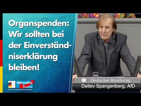 Wir sollten bei der Einverständniserklärung bleiben! - Detlev Spangenberg - AfD-Fraktion