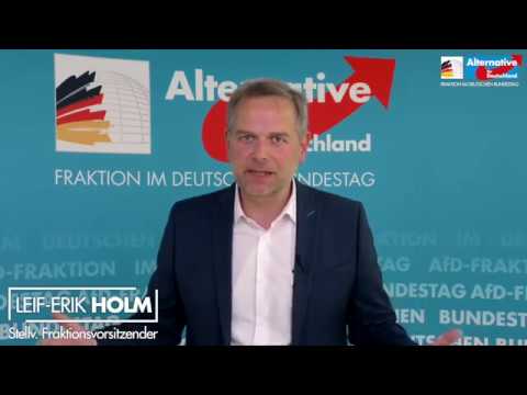 Leif-Erik Holm: &quot;Verfassungsschutz wird instrumentalisiert!&quot; - AfD-Fraktion