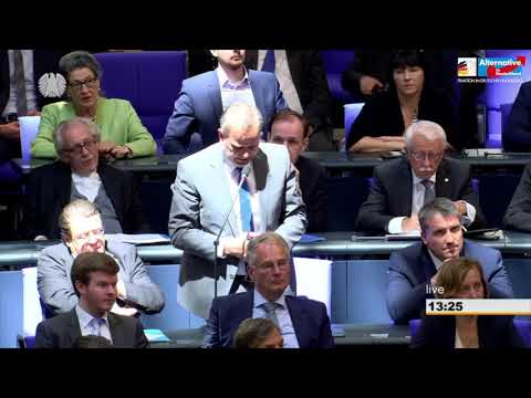 &quot;Bailout jetzt auch für Italien?&quot; - Leif-Erik Holm - AfD-Fraktion im Bundestag