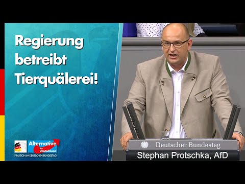 Regierung betreibt Tierquälerei! - Stephan Protschka - AfD-Fraktion im Bundestag