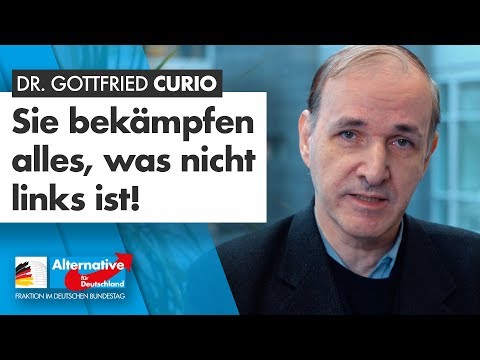 Sie bekämpfen alles, was nicht links ist! - Dr. Gottfried Curio - AfD-Fraktion im Bundestag