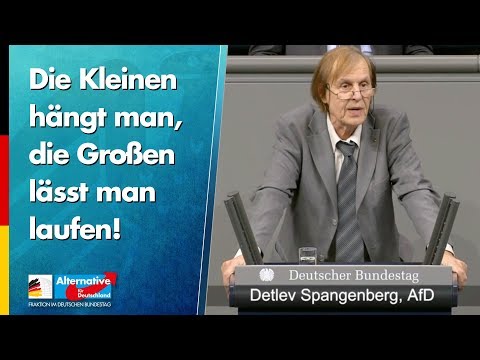 Die Kleinen hängt man, die Großen lässt man laufen! - Detlev Spangenberg - AfD-Fraktion