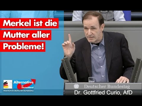 Merkel ist die Mutter aller Probleme! - Gottfried Curio - AfD-Fraktion im Bundestag