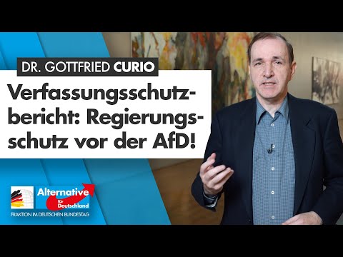 Verfassungsschutzbericht: Regierungsschutz vor der AfD! - Dr. Gottfried Curio