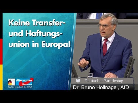 Keine Transfer- und Haftungsunion in Europa! - Dr. Bruno Hollnagel - AfD-Fraktion
