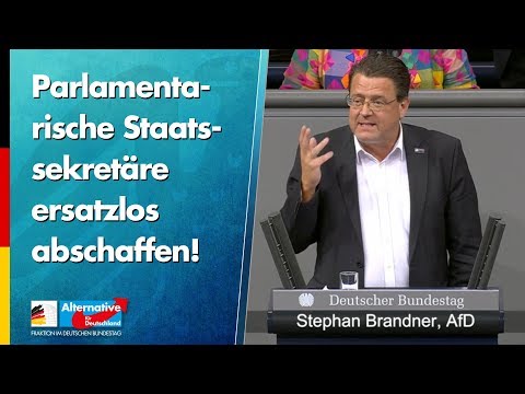 Parlamentarische Staatssekretäre ersatzlos abschaffen! - Stephan Brandner - AfD-Fraktion