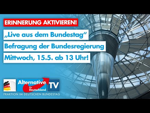 100. Sitzung des Bundestags - AfD-Fraktion im Bundestag