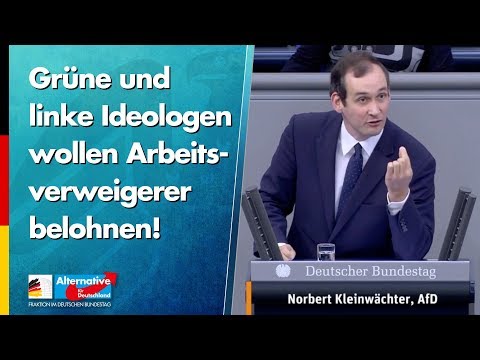 Grüne und linke Ideologen wollen Arbeitsverweigerer belohnen! - Norbert Kleinwächter - AfD-Fraktion