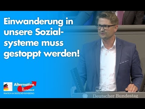 Einwanderung in unsere Sozialsysteme muss gestoppt werden! - René Springer - AfD-Fraktion