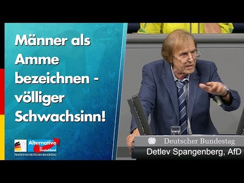 Sie können doch Männer nicht als Amme bezeichnen! - Detlev Spangenberg - AfD-Fraktion