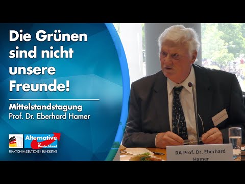 &quot;Die Grünen sind nicht unsere Freunde!&quot; - Prof. Dr. Eberhard Hamer - Mittelstandstagung AfD-Fraktion