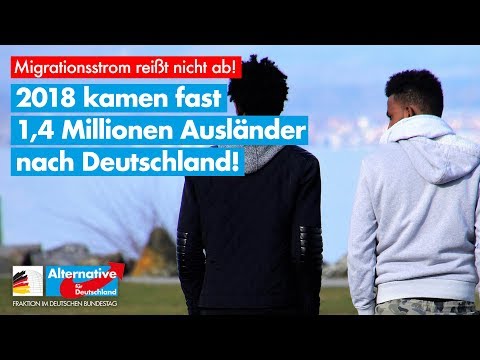 2018 kamen fast 1,4 Millionen Ausländer nach Deutschland! - AfD-Fraktion im Bundestag