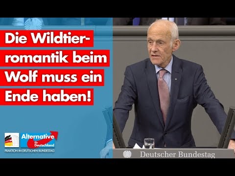 Die Wildtierromantik beim Wolf muss ein Ende haben! - Wilhelm von Gottberg - AfD-Fraktion