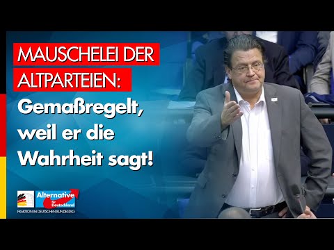 Mauschelei der Altparteien: Gemaßregelt, weil er die Wahrheit sagt! - Stephan Brandner - AfD