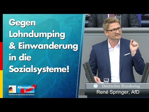 Gegen Lohndumping und Einwanderung in die Sozialsysteme! - René Springer - AfD-Fraktion
