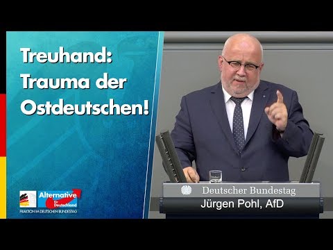 Treuhand: Trauma der Ostdeutschen! - Jürgen Pohl - AfD-Fraktion im Bundestag