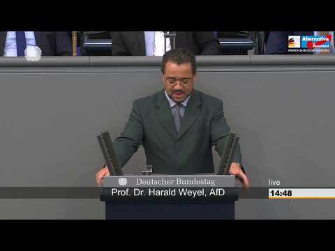 Multilateralismus ist Flucht vor Eigenverantwortung! - Prof. Dr. Harald Weyel - AfD-Fraktion