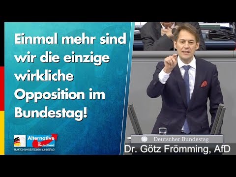 Einmal mehr sind wir die einzige wirkliche Opposition im Bundestag! - Götz Frömming - AfD-Fraktion