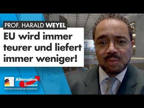 &quot;Die EU wird immer teurer und liefert immer weniger!&quot; - Prof. Dr. Harald Weyel - AfD-Fraktion