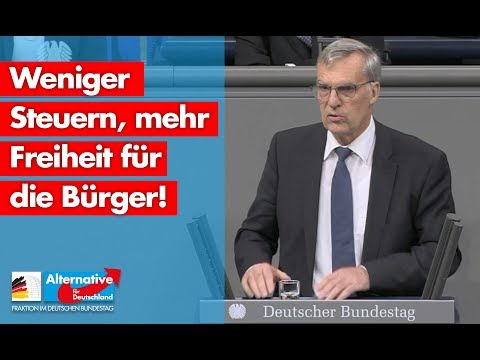 Weniger Steuern, mehr Freiheit für die Bürger! - Bruno Hollnagel - AfD-Fraktion im Bundestag