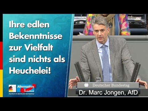 Ihre edlen Bekenntnisse zur Vielfalt sind nichts als Heuchelei! - Marc Jongen - AfD-Fraktion