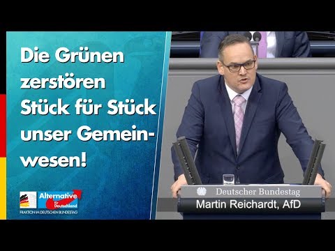 Die Grünen zerstören Stück für Stück unser Gemeinwesen! - Martin Reichardt - AfD-Fraktion