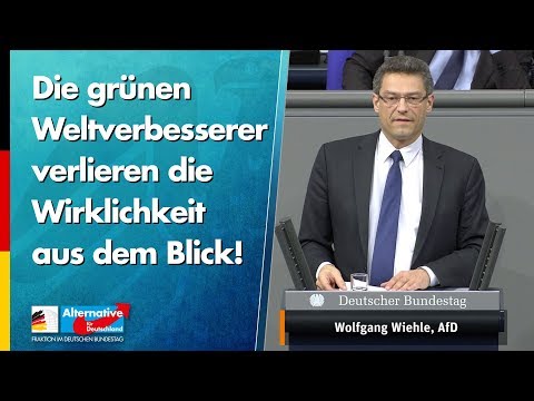 Die grünen Weltverbesserer verlieren die Wirklichkeit aus dem Blick! - Wolfgang Wiehle - AfD