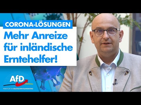 Wir brauchen mehr Anreize für inländische Erntehelfer! - Stephan Protschka - AfD-Fraktion