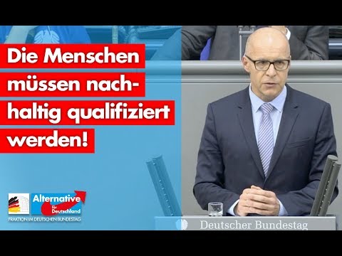 Die Menschen müssen nachhaltig qualifiziert werden! - Jörg Schneider - AfD-Fraktion im Bundestag