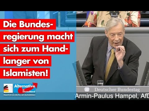 Die Bundesregierung macht sich zum Handlanger von Islamisten! - Armin-Paul Hampel - AfD-Fraktion