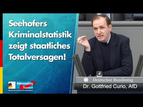 Seehofers Kriminalstatistik zeigt staatliches Totalversagen! - Gottfried Curio - AfD-Fraktion